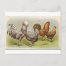 Recherche de polonais cartes postales Vintage