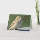 Recherche de oiseaux mignons Humoristique