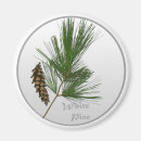 Search for pine tree magnets Woods