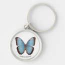 Search for blue butterflies keychains Animals