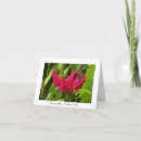 Search for unusual cards Flowers