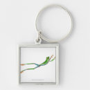 Search for jumping frog keychains Animal