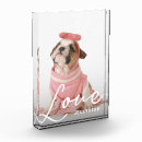 Search for dog photo display Minimalist