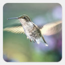 Recherche de colibris autocollants Printemps