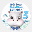 Search for hippo birthday stickers Wild one