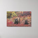 Search for ursus arctos posters Environment