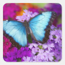 Search for tropical butterfly stickers Colourful