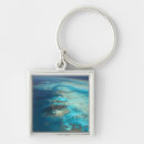 Search for diving square keychains Coral reef
