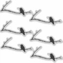 Search for hummingbird stickers Black