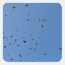 Search for birds flying stickers Blue