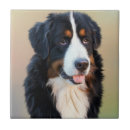 Search for bernese mountain dog gifts Portrait