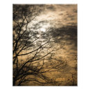 Recherche de ciel nuageux art Orange