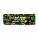 Search for zinnia return address labels Pink