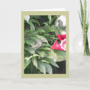 Search for bird watcher birthday cards Cute