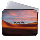 Search for camel desert electronics Sand