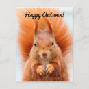 Recherche de squirrel cartes postales Animal