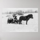 Search for sled posters Collection