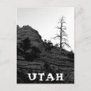 Recherche de arbre solitaire cartes postales Photographie