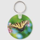 Search for beautiful butterflies keychains Pretty