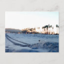 Search for santa postcards Palm trees