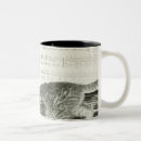 Search for kitten playing mugs Black and white