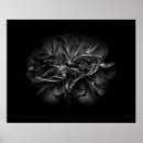 Recherche de beauté unique posters Abstrait
