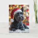 Search for scottish terrier christmas cards Scotty