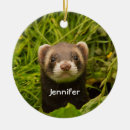 Search for ferret pets ornaments Funny