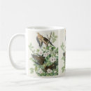 Search for turtle dove mugs Carolina pigeon
