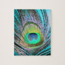 Search for peacock feathers puzzles Colourful