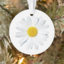 Search for daisy ornaments Blossom