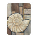 Recherche de et escargot magnets Coquillage