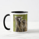 Search for lemur ring tailed mugs Primate