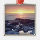 Recherche de san diego ornamente Usa