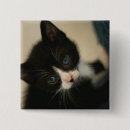 Recherche de chat tigré accessoires Yeux