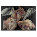 Recherche de coquille planches à découper Dollar de sable