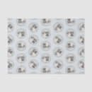 Search for anatolian shepherd Kangal