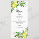 Search for programs for wedding menus Bohemian