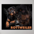 Recherche de hund posters Dog
