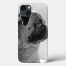 Search for pug cases Pets