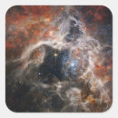 Search for tarantula stickers Stars