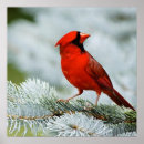 Recherche de birdie posters Bleu