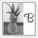 Search for pineapple print stickers Fruit