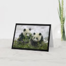 Search for giant holiday cards Panda