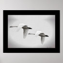 Search for duo posters Wildlife