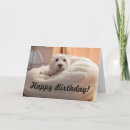 Search for westie birthday cards Dog