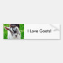 Search for goat bumper stickers Nanny
