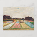 Search for flower bed postcards Nature