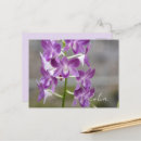 Recherche de fleurs tropicales cartes postales Rose