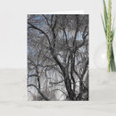 Search for blank 5x7 cards Winter